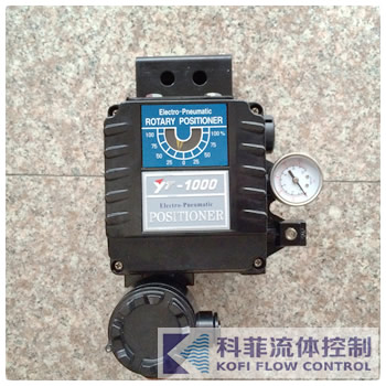 YT-1000R-PTM(dng)yT(mn)λ