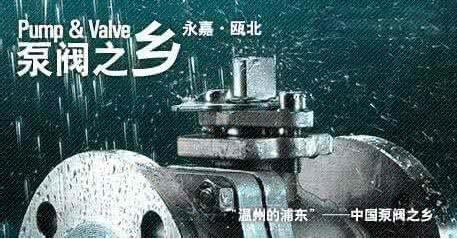 立足雙循環(huán),中國泵閥之鄉馭“變”突圍 立足雙循環(huán),中國泵閥之鄉馭“變”突圍